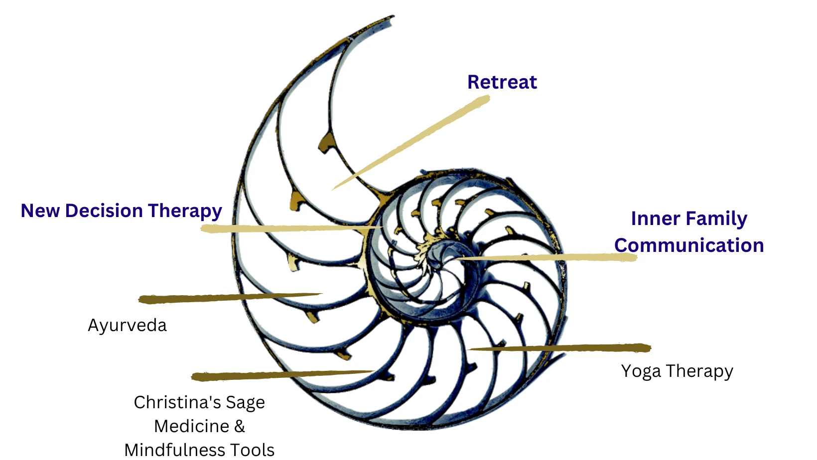 00164092438-newdecisiontherapy-logo02-17206703276116.png